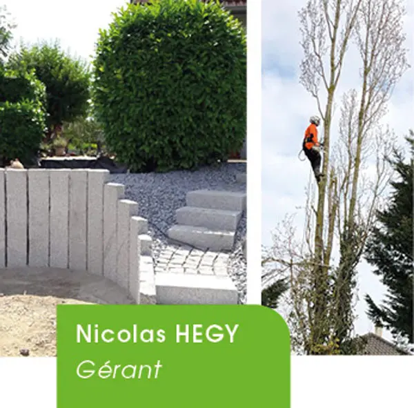 SARL + DE VERT !, photo 2