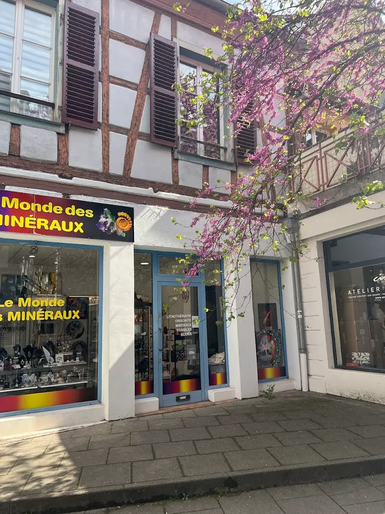 SASEP - Le Monde des Minéraux, photo 5