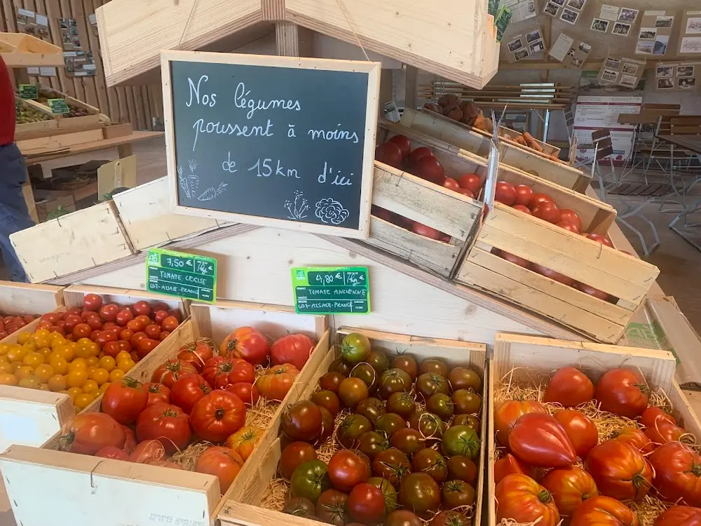 Saveurs et Fraicheur Bio, photo 5