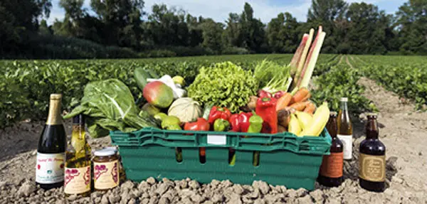 Saveurs et Fraicheur Bio, photo 3