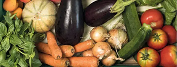 Saveurs et Fraicheur Bio, photo 4