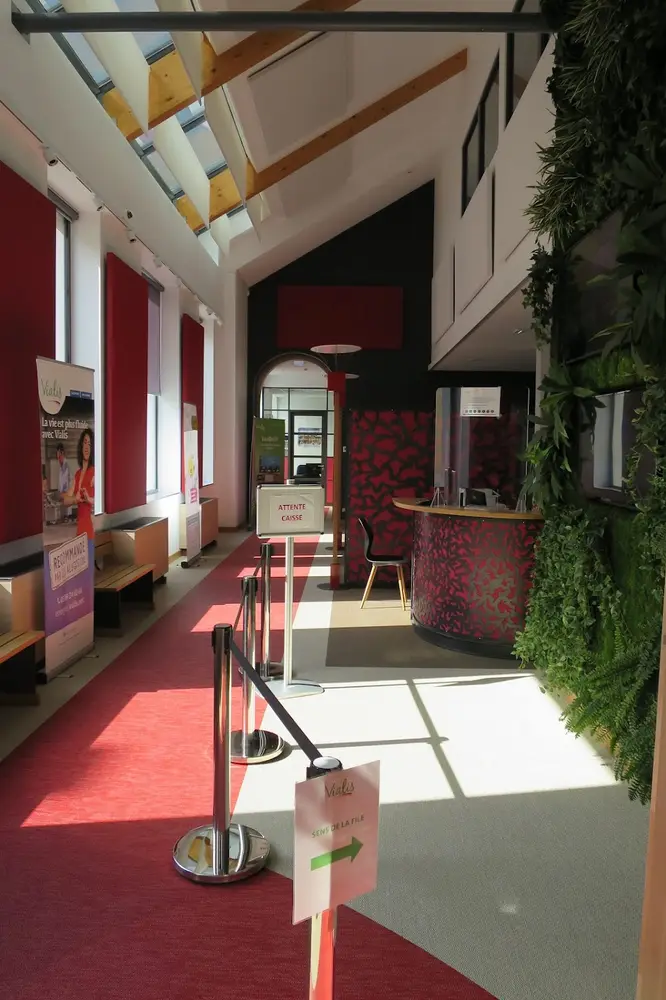 VIALIS, photo 5